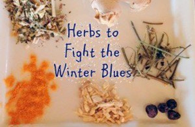 ادویه های مفید برای فصل زمستان