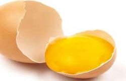 یک تخم مرغ و هزار ویتامین
