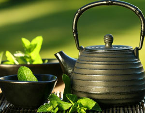 چای سبز مرغوب را از کجا بشناسیم