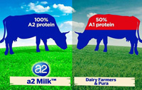 شیر A۱ و A۲ چه تفاوت هایی با هم دارند