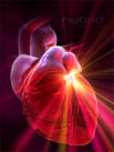 تغذیه قلب و گردش خون در بیماری های قلبی