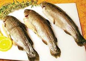 برای افزایش عمر, ماهی پرچرب بخورید