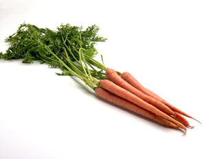 خواص دارویی گیاه هویج