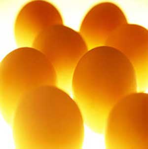 تخم مرغ منبع بسیار غنی غذایی