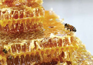 عسل طبیعی را چطور بشناسیم