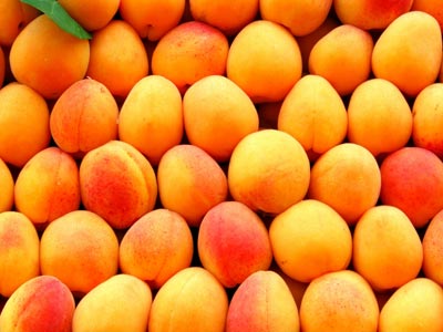 زردآلو Apricot