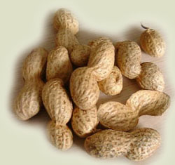 بادام زمینی Peanut