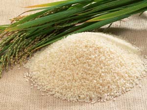 مواد غنی کننده برنج