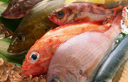 ۶ غذای قلب از ماهی تا اسفناج