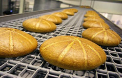 نان صنعتی سالم تر است یا نان سنتی