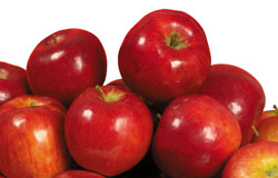 پوست سیب قرمز ضدسرطان است