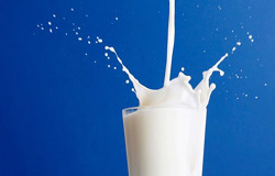 ۱۱ دلیلی که شیر دیگر یک غذای جادویی نیست