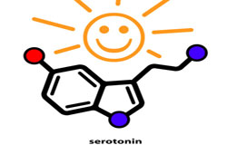 چگونگی افزایش سروتونین