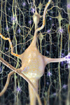 پیش بینی نرخ نفوذ ماشین های تونل بری با استفاده از شبکه عصبی