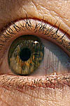 بررسی مقایسه ای آزمون تشخیص بین دو نقطه در دست افراد بینا و نابینا در دهه سنی ۲۰ ۱۰ سال