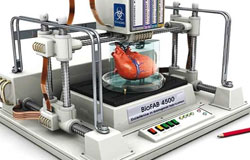 ساخت قلب زنده با چاپگر سه بعدی