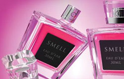 راه هایی برای ماندگار کردن بوی عطر