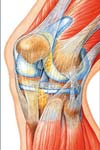 تغییرات دامنه حرکتی در مفصل زانو بدنبال قطع انتخابی رباط متقاطع قدامی