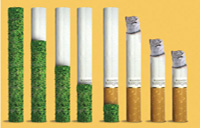 چقدر از ترک سیگار بگذرد خطر سرطان دور می شود