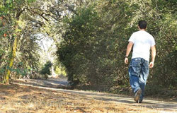 پیاده روی اکسیر پیشگیری و درمان