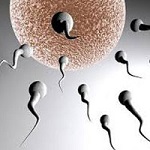 آشنایی با دلایل کاهش تعداد اسپرم