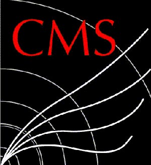 چگونه CMS مورد نظر خود را انتخاب كنیم