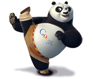 Google Panda پنج نکته ای که می بایست بدانید