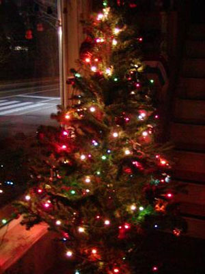 درخت کریسمس, نماد حیات دوباره
