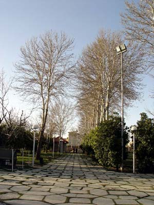 باغ عفیف آباد گلشن در شیراز