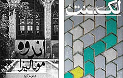 جامعه در آیینه رمان های ایرانی