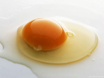 تخم مرغ برای سلامت این عضو بدن ضروریست