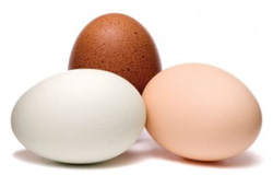 چند نکته مهم در مورد تخم مرغ که باید بدانید