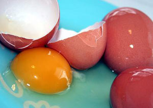 مواد تشکیل دهنده و کالری یک تخم مرغ