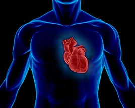 چه عواملی سلامت قلب را به خطر می اندازد؟