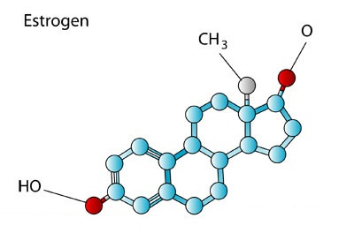 استروژن را بهتر بشناسیم