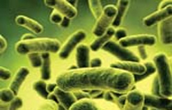 ۵ راه محافظت از بدن در برابر میکروب های مقاوم به آنتی بیوتیک