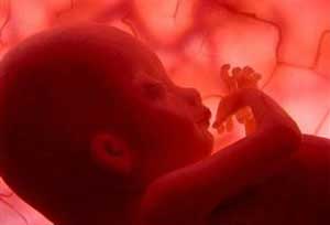 نکاتی حیاتی برای مراقبت از جنین!
