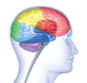 نقش فیزیوتراپی در درمان سکته مغزی