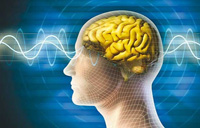 فنون کاهش خطر ابتلا به سکته مغزی