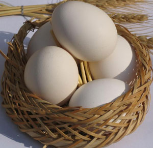 تخم‌مرغ رسمی بهتر است یا غیررسمی؟