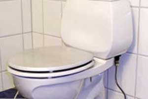 توالت‌های فرنگی و عفونت‌های پوستی
