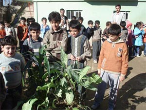 حفظ و اعتلای محیط‌زیست در مدارس