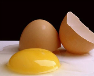 حساسیت به تخم‌مرغ