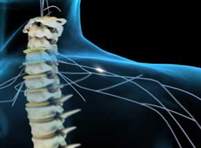 آسیب‌ طناب نخاعی چیست؟