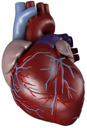 عوامل غیر منتظره ابتلا به بیماری قلبی