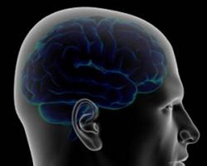 آیا واقعا از ۲۰ درصد مغزمان استفاده می‌کنیم؟
