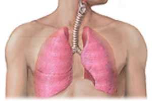 چگونه سرطان ریه را تشخیص دهیم؟