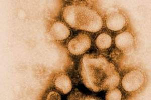 ویروس آنفولانزا بیرون از بدن چقدر زنده می ماند؟