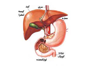 سنگی در صفرا