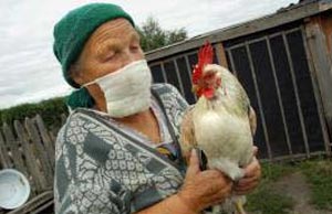آنفلوآنزای پرندگان و پاندمی چهارم